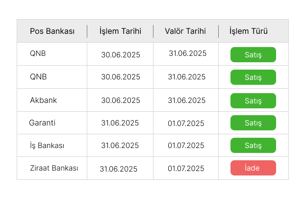 Pos rapor ürününden örnek görüntü kesiti